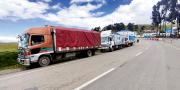 Comando Estratégico Operacional decomisa mercadería ilegal valorada en Bs 3,4 millones