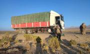 Comisan camión con contrabando valuado en Bs 750.000 y detectan 10 nuevos pasos ilegales en la frontera con Chile