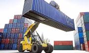Senasag se incorpora a la Ventanilla Única de la Aduana con el certificado fitosanitario de exportación