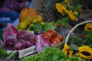 Según el Gobierno, los precios de los alimentos de la canasta familiar comienzan a bajar tras los bloqueos evistas
