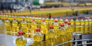 Seis industrias oleaginosas en Bolivia controlan casi el 85% de la producción de subproductos de soya