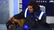 Javier Milei sorprendió al llegar a una entrevista con su perro Conan