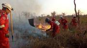 En Tarija y otros cuatro departamentos identifican 33 municipios en “alto riesgo” de sufrir incendios forestales