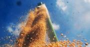 Junio boom: cuántos millones de dólares inyectó el agro y cómo sigue la venta de soja
