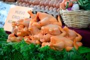 Día Latinoamericano del Pollo: productores destacan su valor nutricional y económico