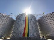 Emapa prevé comprar este año 130.000 toneladas de trigo a “precio expectante”