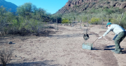 La app para avisar sobre atropellamientos de fauna silvestre sanjuanina, ya está disponible: el paso a paso para usarla