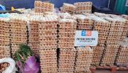 Aumenta contrabando de huevos desde Bolivia a Chile