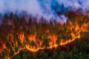 Departamentos franceses en alerta por riesgo de incendios forestales