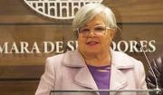 Senadora Salame denuncia recurso en contra de candidatos que no renunciaron a sus cargos