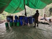 Narcotráfico: Umopar destruye 21 fábricas de droga en operativo en Villa Tunari