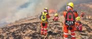 CIDH presenta informe sobre incendios y urge a Bolivia un plan integral de manejo del fuego