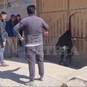 Criminales asaltan un hogar en Oruro y roban 100 mil bolivianos