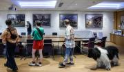 Francia inaugura un museo para los perros, el segundo más grande del mundo