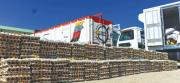 Gobierno boliviano identifica 23 nuevos pasos ilegales en fronteras