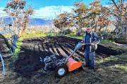 Una huerta que brota desde el fin del mundo: logró 20 variedades de papa en la Patagonia más austral