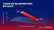 Los casos de salmonelosis disminuyeron un 94,7% en Salta