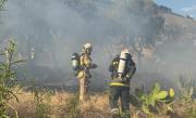 La Defensoría pide de manera urgente acciones preventivas frente a los incendios forestales