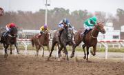 Se corre el especial La Plata Capital en el Hipódromo de La Plata