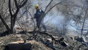 Dos incendios de pastizales fueron controlados a tiempo en el Cerro San Bernardo