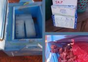 Vacunas contra el sarampión en Santa Cruz fueron reemplazadas por carne en termo de seguridad