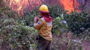 Se registran 7.445 focos de calor en todo el país, el 81% se encuentra en el departamento de Santa Cruz