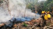 Registran incendio en el Parque Nacional Carrasco y Defensa Civil denuncia impunidad en quemas ilegales