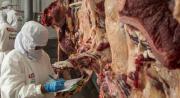 Concejal de Cobija pide a los ganaderos bajar el precio de la carne por caída del dólar y el real