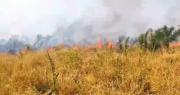 Reportan ocho incendios activos en el departamento cruceño
