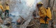 Crisis climática global: una historia en tiempo real