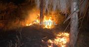 Incendio afecta al área de una urbanización y un predio de la Policía Montada