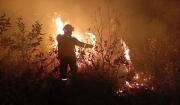 Alerta amarilla en Santa Cruz: Reportan siete incendios forestales activos y 609 focos de calor