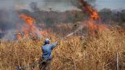 En Santa Cruz reportan ocho incendios activos