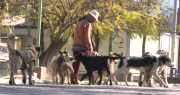 Natalia cuida animales rescatados, los vacuna y alimenta con ingresos que consigue vendiendo dulces y juguetes en la calle