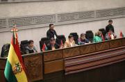 Choquehuanca vuelve a convocar a la ALP para reinstalar la octava sesión y tratar el crédito de $us 30 millones