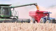 Gobierno hace todos los esfuerzos para dotar diésel al agro, para que no se afecte la producción