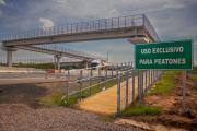 Uso responsable de pasarelas y puentes: una medida vital de seguridad