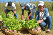 Inversión agropecuaria alcanza a Bs 2.014 millones, según ministro