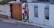 Cámaras captan a mujer robando a perros de distintas razas del interior de viviendas