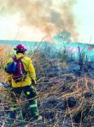 San José de Chiquitos concentra cinco de los ocho incendios