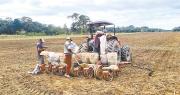 Este año, la inversión para el agro alcanza un presupuesto de Bs 2.014 millones