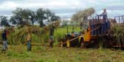 Falta de diésel: CAO alerta “deterioro” en las cadenas productivas; Desarrollo Rural e Hidrocarburos buscan soluciones