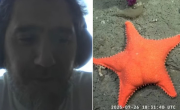 Un científico a cargo de la transmisión viral del mar se quebró por el ajuste de Milei al Conicet: Menos de un millón de pesos