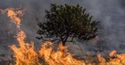 Gobierno moviliza unidades militares para combatir 12 incendios activos en Santa Cruz