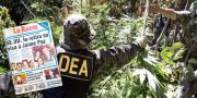 El exministro de Banzer revive el pacto secreto de “Coca Cero” de Tuto y Samuel