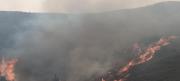 Tarija respira aire contaminado por el incendio en la Cordillera Sama, inician campaña solidaria, se declaró la emergencia