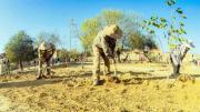 Emavra remoza las áreas verdes de la OTB Juan Bosco