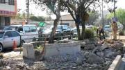 Emavra libera árboles atrapados en el concreto de la avenida Ustáriz