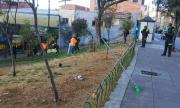 Disminuye el consumo de alcohol en vía pública y los infractores cumplen trabajos comunitarios