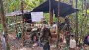 Siete aprehendidos tras operativo antidrogas en el trópico de Cochabamba